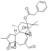 20-OXO-12,20-DIDEOXYPHORBOL 13-PHENYLACETATE