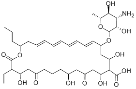 Rimocidin Structural