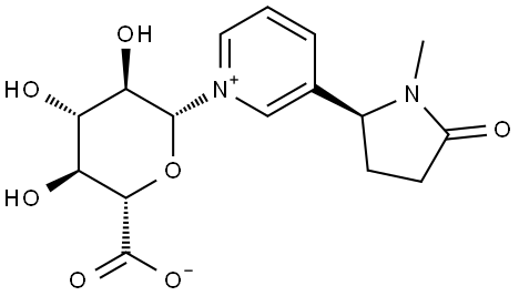 CNG Structural