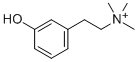 Leptodactyline