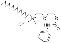 SALOR-INT L498025-1EA