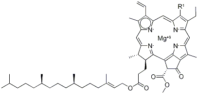 CHLOROPHYLL Structural Picture