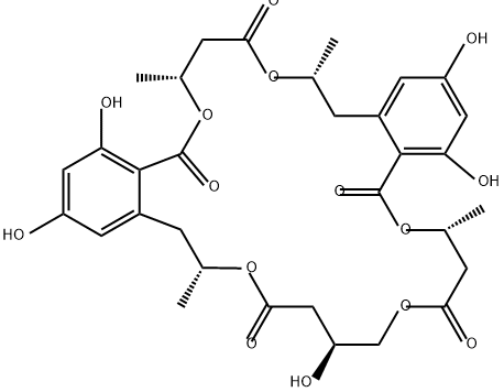 NG 011