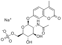 4-METHYLUMBELLIFERYL-2-ACETAMIDO-2-DEOXY-6-SULPHATE-BETA-D-GLUCOPYRANOSIDE Structural