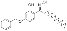 SALOR-INT L497274-1EA