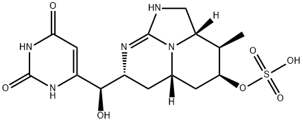 CYLINDROSPERMOPSIN Structural