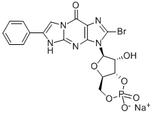 8-BR-PET-CGMP SODIUM SALT Structural