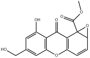 MS 347a Structural