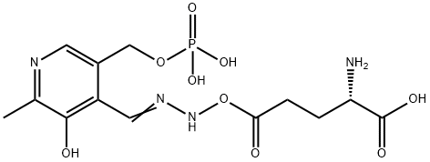 pyridoxal phosphate gamma-glutamyl hydrazone Structural