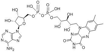 Flavin adenine dinucleotide Structural