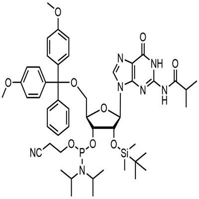 5'-O-(4,4-Dimethoxytrityl)-2'-O-[(tert-butyl)dimethylsilyl]-N-isobutyrylguanosine-3'-(2-cyanoethyl-N,N-diisopropyl)phosphoramidite