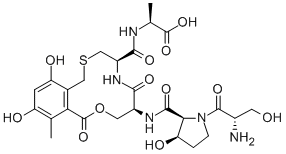 cyclothialidine