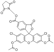 5(6)-CARBOXY-2',7'-DICHLOROFLUORESCEIN DIACETATE N-SUCCINIMIDYL ESTER Structural