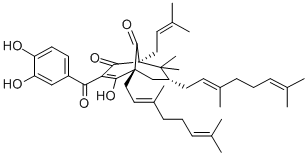 GUTTIFERONE B Structural