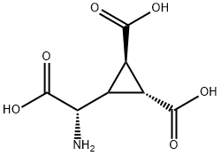 DCG IV