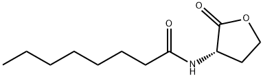 C8-HSL Structural