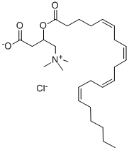 DL-ARACHIDOYL CARNITINE CHLORIDE