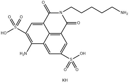 LUCIFER YELLOW CADAVERINE Structural