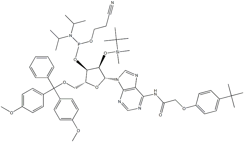 DMT-2'O-TBDMS-RA(TAC) AMIDITE 0.5G  AB Structural