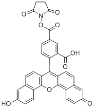 5(6)-CARBOXYNAPHTHOFLUORESCEIN N-SUCCINIMIDYL ESTER