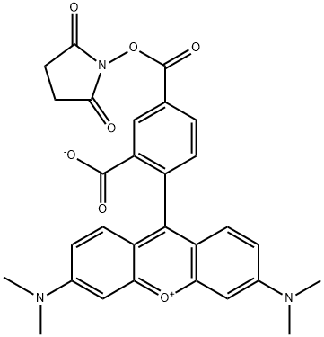 6-CARBOXYTETRAMETHYLRHODAMINE N-HYDROXYSUCCINIMIDE ESTER Structural