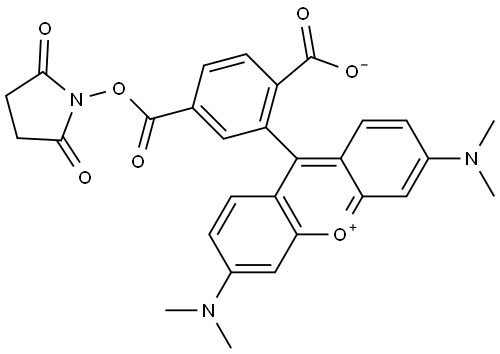 6-CARBOXYTETRAMETHYLRHODAMINE, SUCCINIMIDYL ESTER,6-CARBOXYTETRAMETHYLRHODAMINE, SUCCINIMIDE ESTER