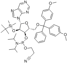 NEBULARINE CEP