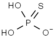 PHOSPHOROTHIOATE