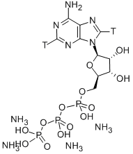 ADENOSINE-2,8-3H 5'-TRIPHOSPHATE TETRAAMMONIUM SALT