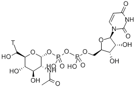 URIDINE 5'-DIPHOSPHO-N-ACETYLGLUCOSAMINE-[GLUCOSAMINE-6-3H(N)] Structural