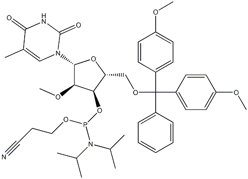 2'-O-METHYL-5-METHYL-U CEP