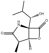 CLASTO-LACTACYSTIN BETA-LACTONE Structural