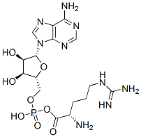 arginyl adenylate Structural