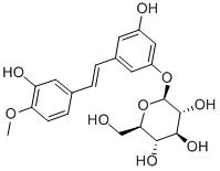 RHAPONTIN Structural