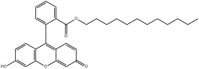 FLUORESCEIN DODECYL ESTER