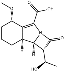 Sanfetrinem Structural