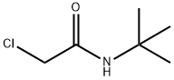 N-(TERT-BUTYL)-2-CHLOROACETAMIDE