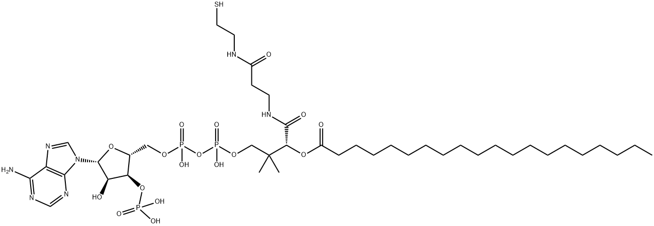 (C20:0) COENZYME A