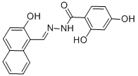 SALOR-INT L458163-1EA