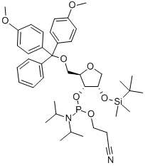 RSPACER CEP Structural