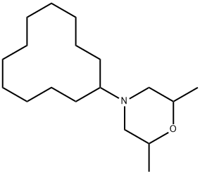 DODEMORPH Structural