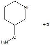 O-(Piperidin-3-yl)hydroxylamine hydrochloride Structural