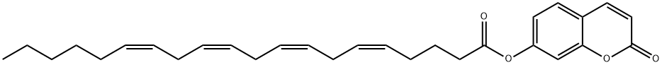 UMBELLIFERYL ARACHIDONATE Structural