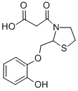 3-Thiazolidinepropanoic acid, 2-((2-hydroxyphenoxy)methyl)-beta-oxo-