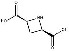 (2R,4R)-(+)-AZETIDINE-2,4-DICARBOXYLIC ACID