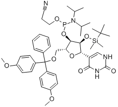 PSEUDOURIDINE CEP Structural