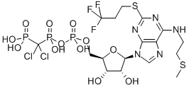 CANGRELOR Structural