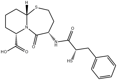 OMAPATRILAT Structural