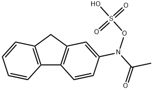 2-acetylaminofluorene-N-sulfate Structural