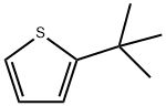 2-T-BUTYLTHIOPHENE Structural